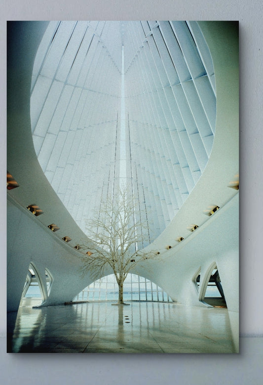 ● T&S --- Milwaukee Art Museum #1