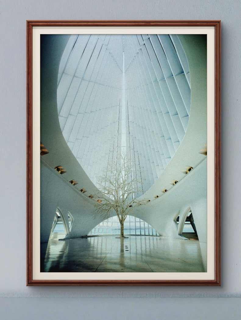 ● T&S --- Milwaukee Art Museum #1